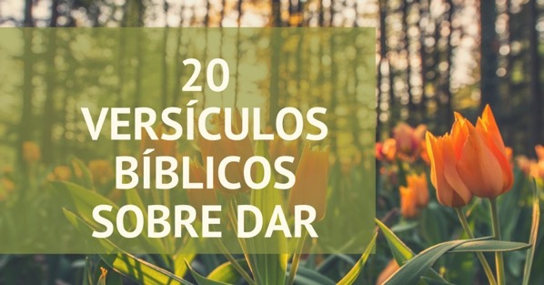 20 escrituras dar