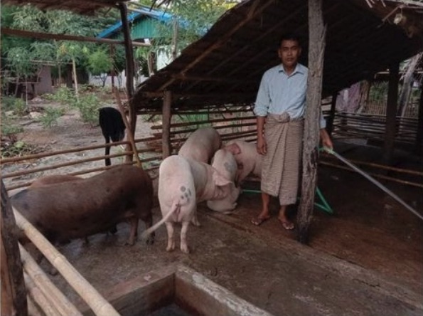 Actualización Proyecto Agrícola de Myanmar
