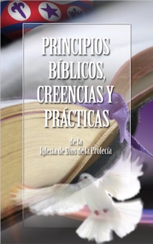 Documento en EBOOK