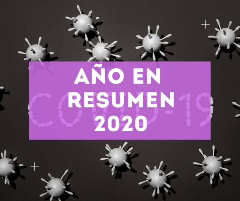 Año en Resumen 2020