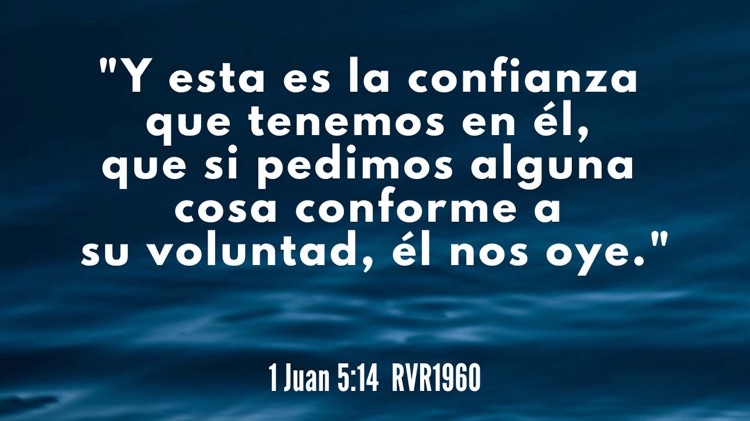 Vida oracion bible 1