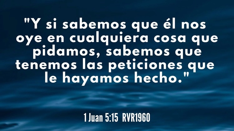 Vida oracion bible 2