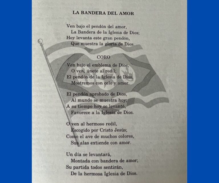 Canto La Bandera Del Amor