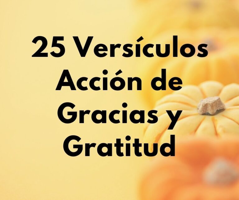 25 Versículos Bíblicos Sobre Acción de Gracias y Gratitud