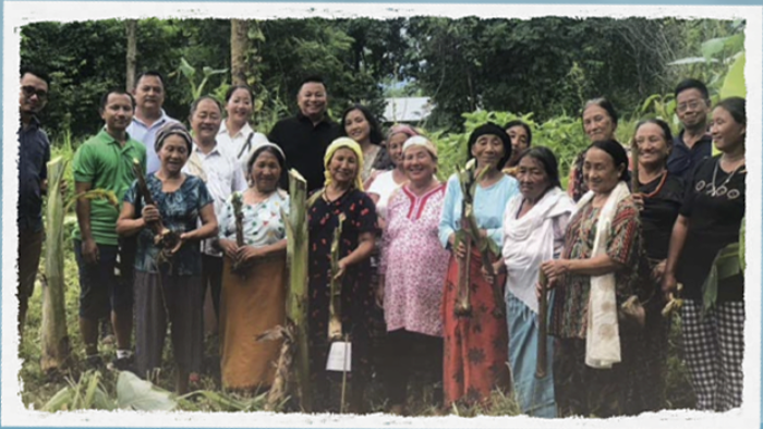 Misiones marzo 2026 theme